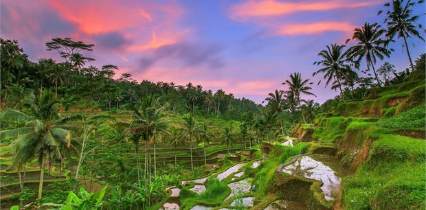Costsaver | Highlights of Bali and Java