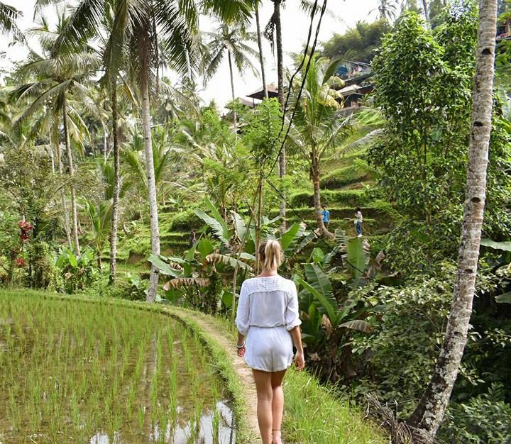 Exploring the rice terraces in Ubud Bali
