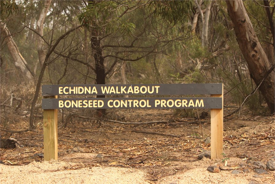 Echidna Walkabout sign