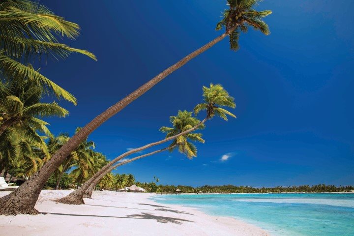 Palm trees leaning over a Fijian Blue Lagoon