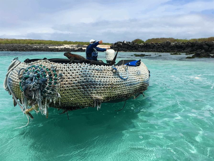 fisherman's boat Galapagos Islands Iguana