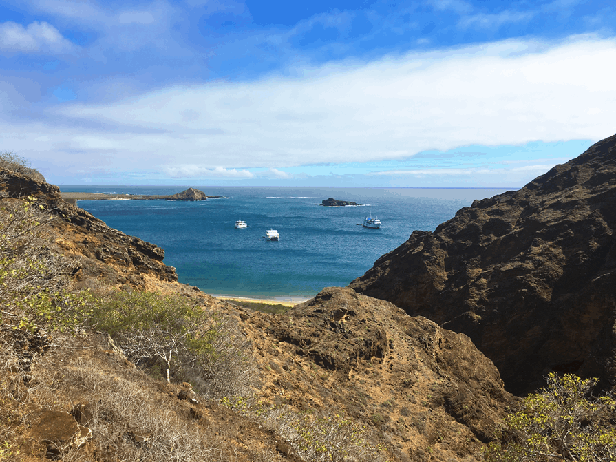 view of beach and boats Galapagos Islands