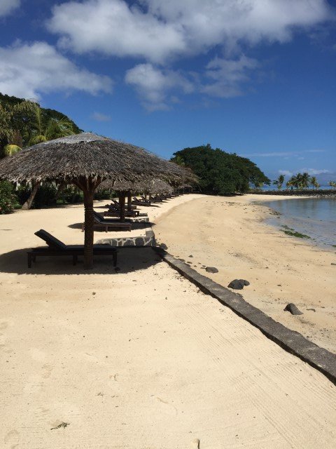 Beach umbrellas and chairs on the beach 