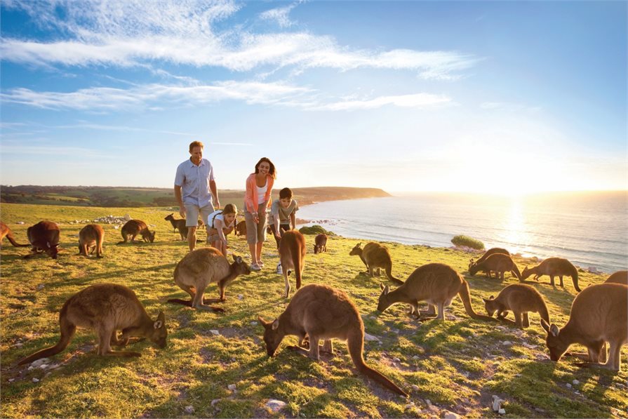 Family fun on Kangaroo Island