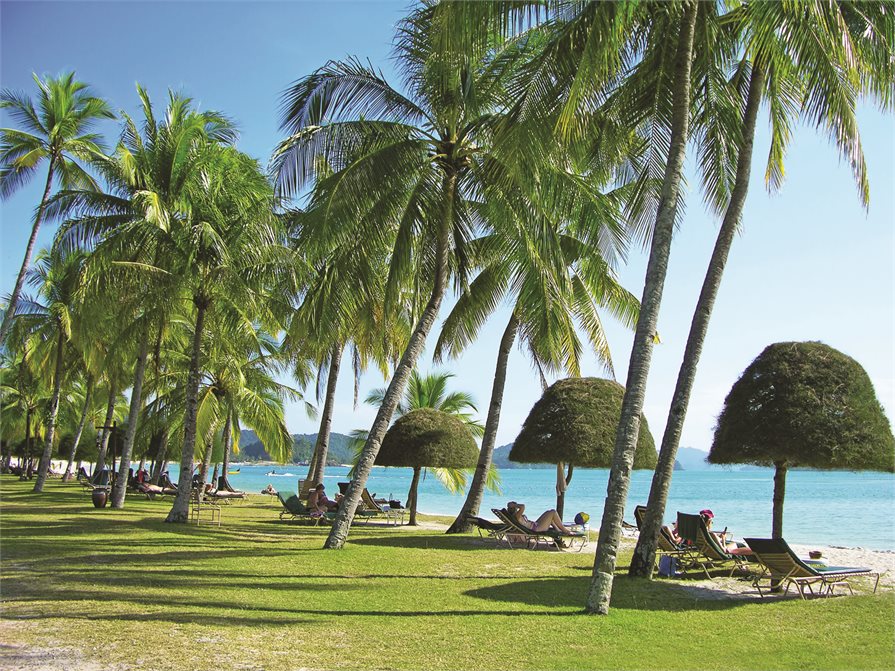 Palm trees and loungers on Langkawi beach