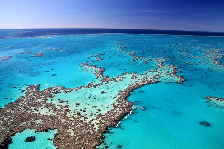 The great barrier reef