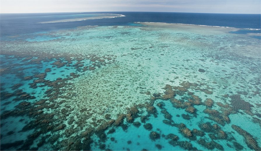 View of the Great Barrier Reef