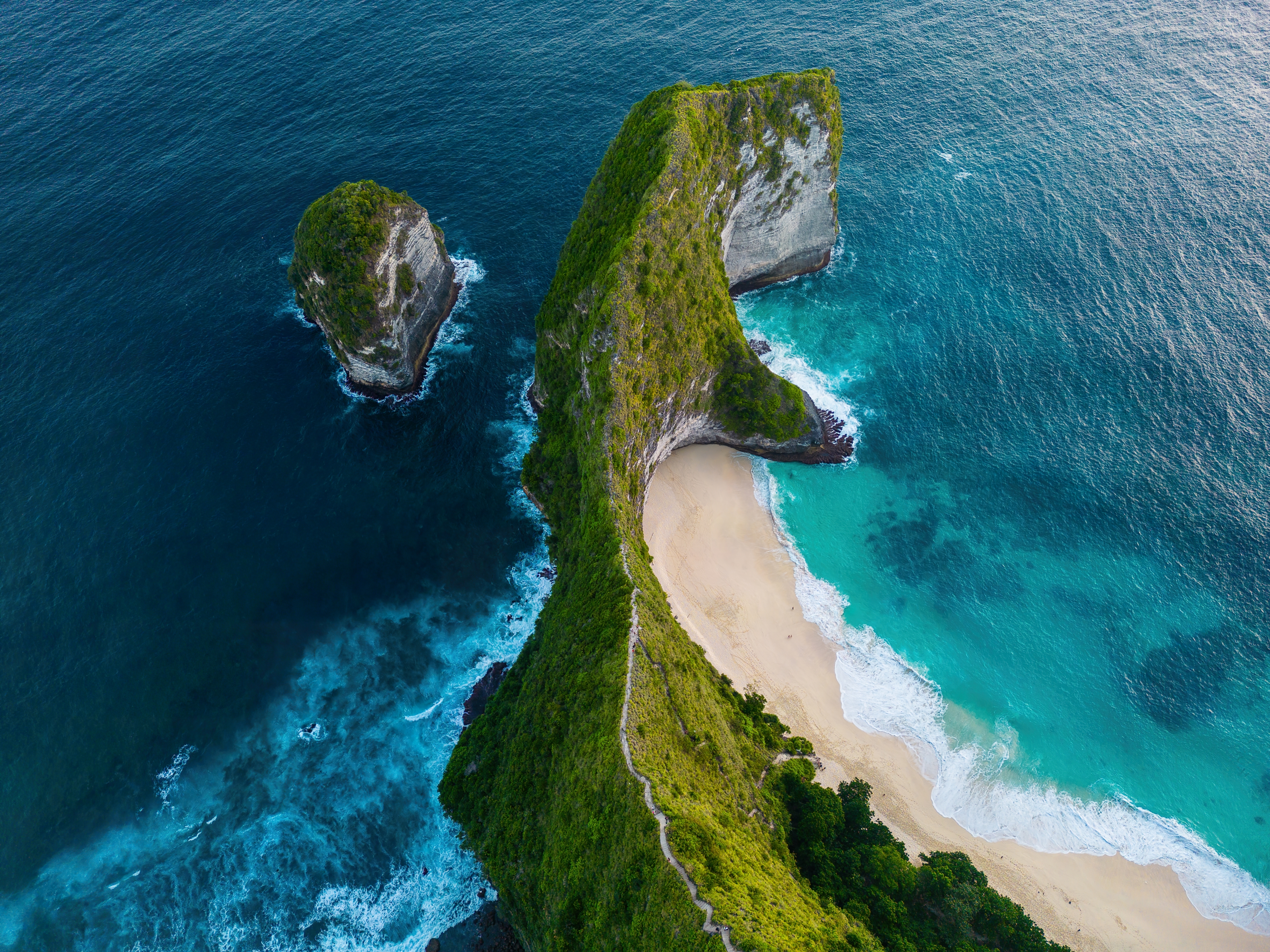 Bali Bliss- Tash swims with giants! Bali Bliss- Tash swims with giants!