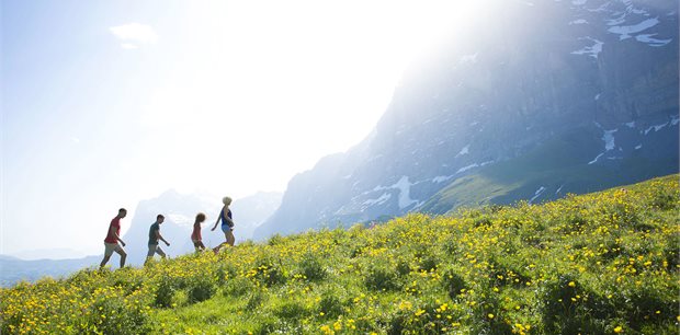 Contiki | Active Alps | 2026 Contiki | Active Alps | 2026