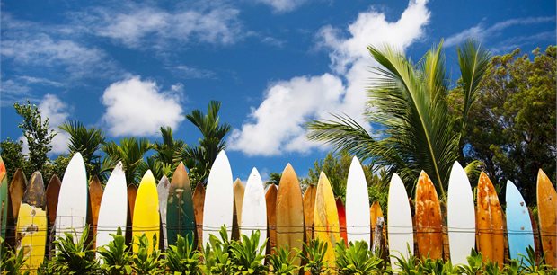 Trafalgar Tours | Best of Hawaii Moderate