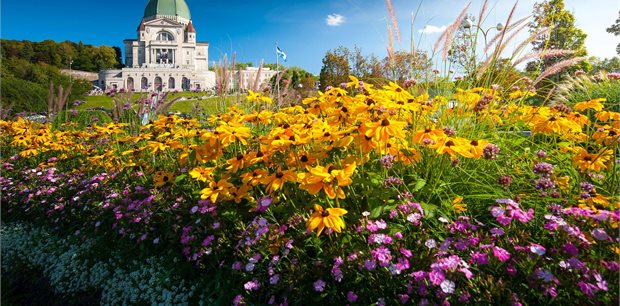 Trafalgar Tours | Best of Eastern Canada End Toronto