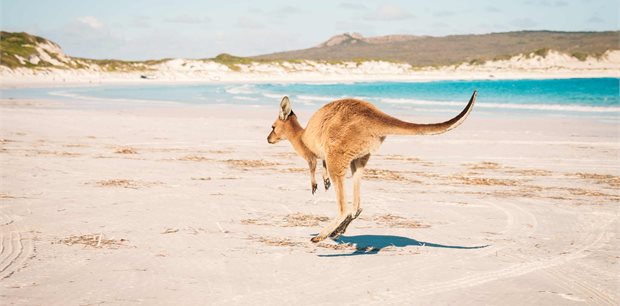 Trafalgar Tours | Australian Highlights