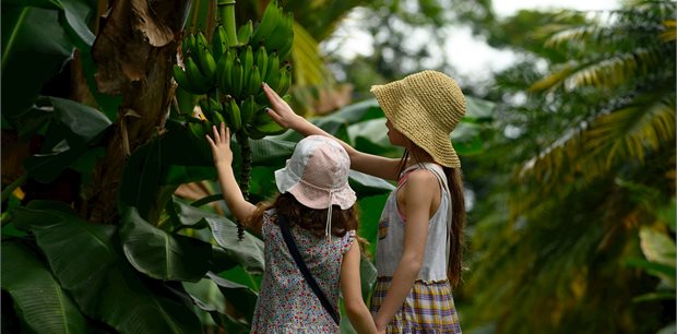 Trafalgar Tours | Monkeys, Jungles and Volcanoes