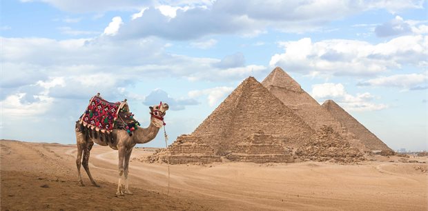Costsaver | Footsteps of the Pharaohs Costsaver | Footsteps of the Pharaohs
