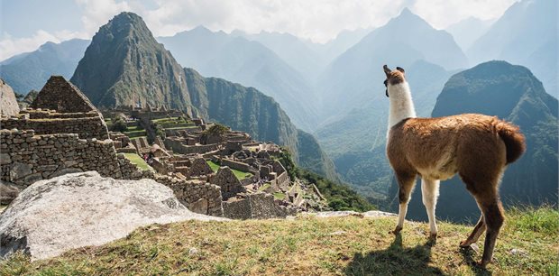 Costsaver | Peru Explorer Costsaver | Peru Explorer