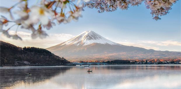 Costsaver | Japan Discovery
