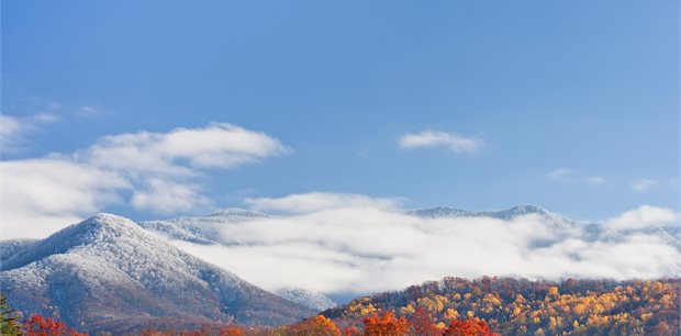 Insight Vacations | Spectacular National Parks of Eastern USA