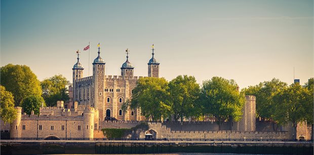 Luxury Gold | British Royale 2026