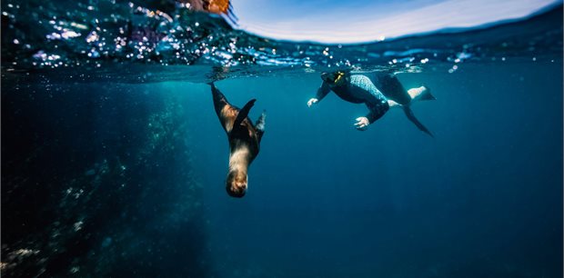 Contiki | Galapagos Island Hopper | 2026
