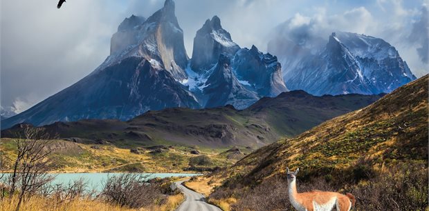 Insight Vacations | Best of Chile from Atacama to Patagonia - Classic Group Insight Vacations | Best of Chile from Atacama to Patagonia - Classic Group