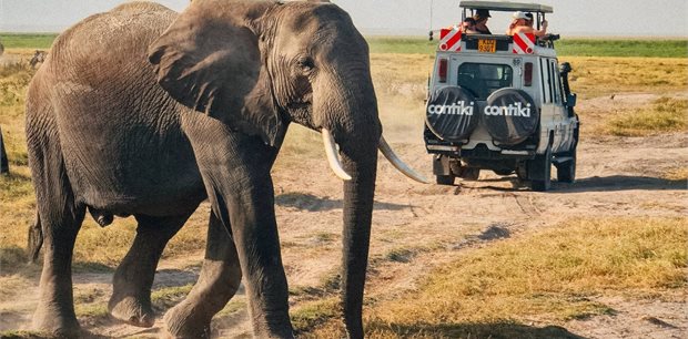 Contiki | Tanzania Safari 35 to 45 | 2026