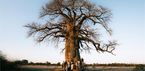 Contiki | Tanzania Adventure | 2026