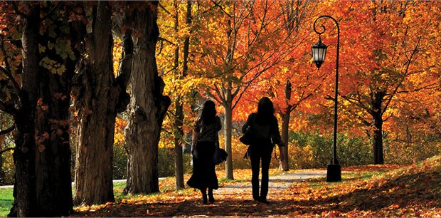Insight Vacations | New England's Fall Foliage (Summer 2019) Insight Vacations | New England's Fall Foliage (Summer 2019)