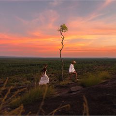 Northern Territory: The Top End - Darwin, Katherine, Kakadu & Arnhem Land