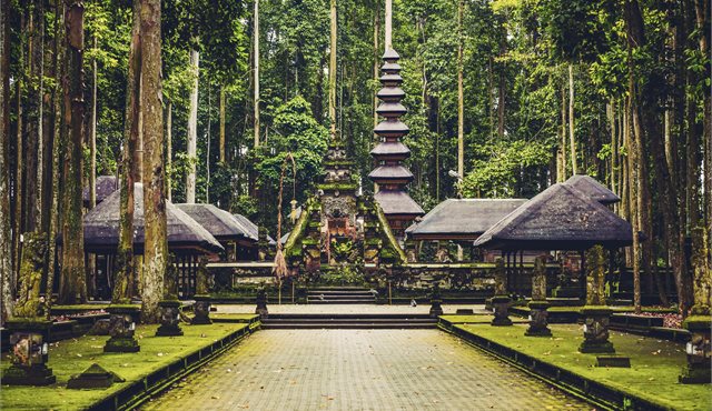 Blog: My Adventures in Bali - and Beyond