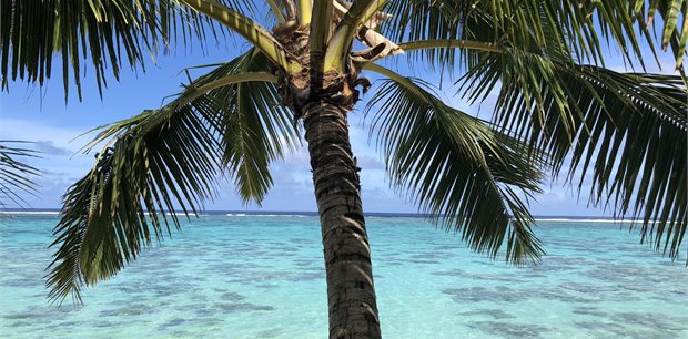 Cook Islands Travel Tips
