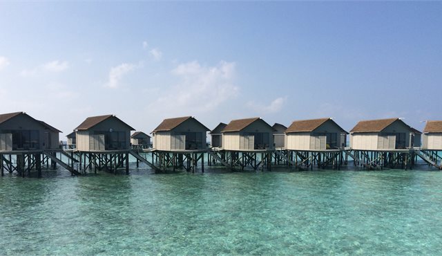 Blog: Love Actually in the Maldives