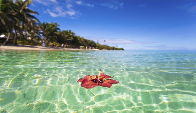 Blog: Top 10 Things To Do: Fiji