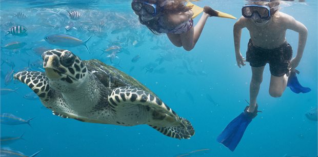 Fiji on Sale - Business Class with Fiji Airways - from Auckland