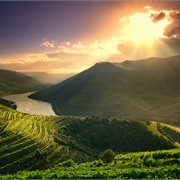 SAVE! $2700 per person twin share