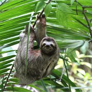 Adventure World | Authentic Costa Rica