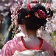 Tokyo on Sale - Business Premier™ - Air New Zealand
