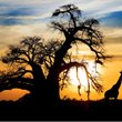 Johannesburg on Sale - Qantas Global Sale - from Auckland