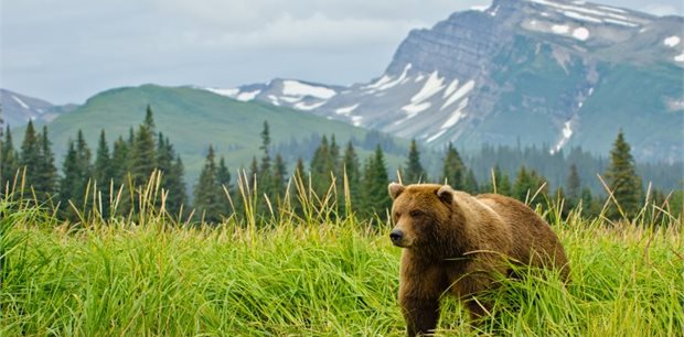World Journeys - North America Tours
