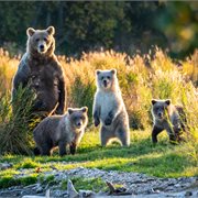Globus | Spectacular Alaska