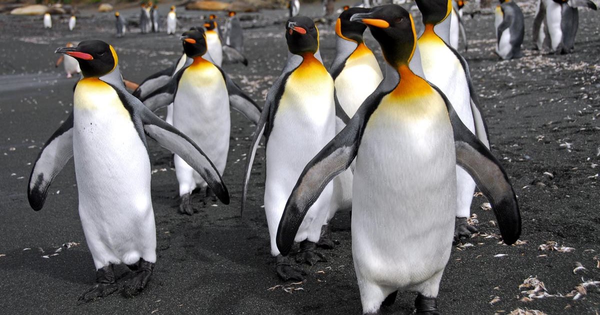 Holiday Holiday Packages Travel Deals helloworld Travel