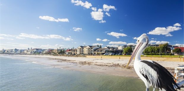 Adelaide on Sale - Air New Zealand - from Auckland or Wellington - Seat Only