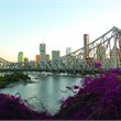 Brisbane - Aussie on Sale - Air New Zealand - Seat Only from Wellington