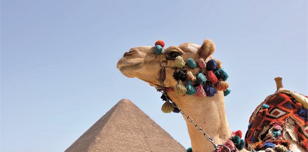 Escorted Middle East | Egypt & Jordan Escorted Middle East | Egypt & Jordan