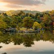 COSMOS | Classic Japan: Land of the Rising Sun