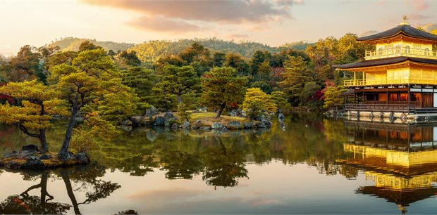 COSMOS | Classic Japan: Land of the Rising Sun COSMOS | Classic Japan: Land of the Rising Sun