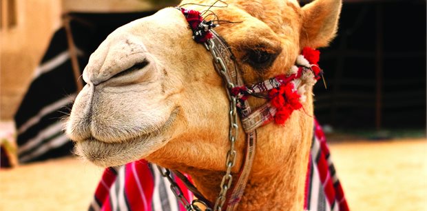 Middle East Holidays