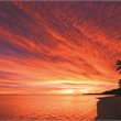 Rarotonga on Sale - Business Premier™ - Air New Zealand