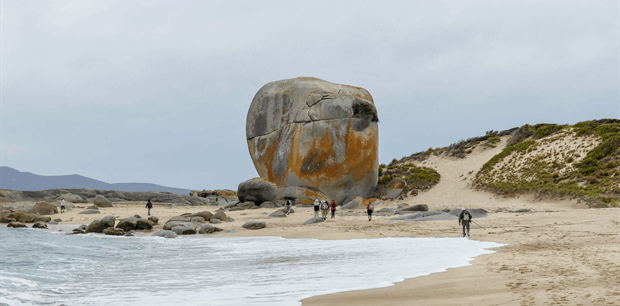 Coastal Treks of Tasmania