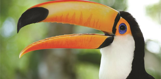 Costsaver - Central America Tours Costsaver - Central America Tours