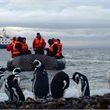 Adventure World | Patagonian Fjords with Australis